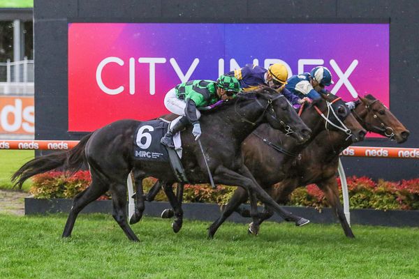 St Lawrence makes impressive return