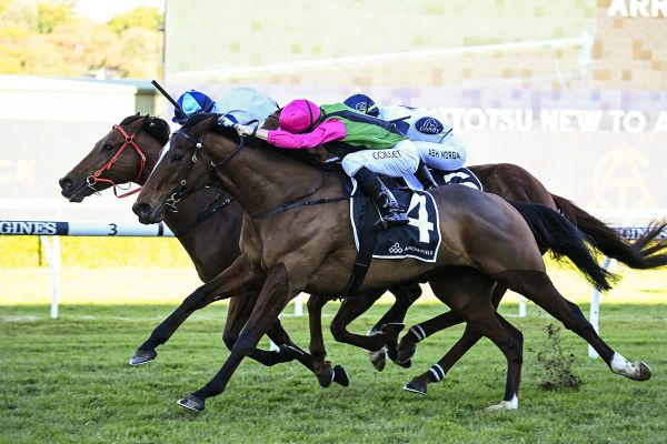 Collett family strikes gold at Randwick