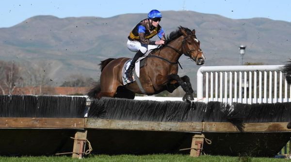 The Cossack to run at Hastings