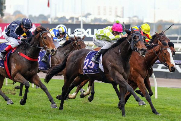 Blackiston to Verify staying trip?