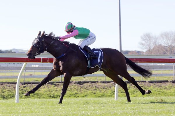 Wessex chasing further black-type