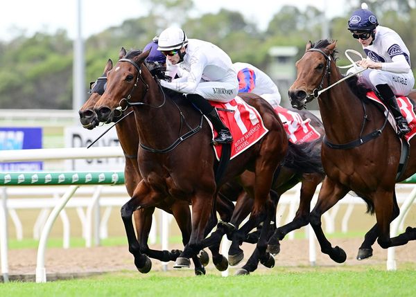 Ancient Girl firing from new quarters