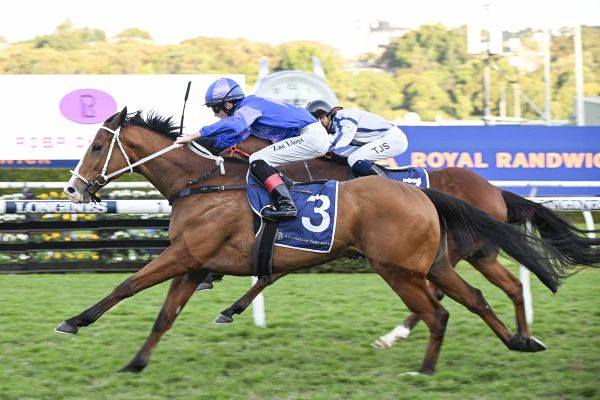 Bold Mac too strong at Randwick