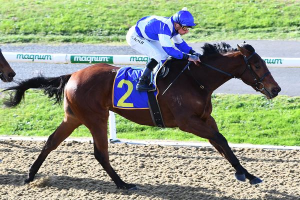 100 percent strike rate for local trainers