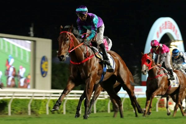 Another victory for Dream Winner