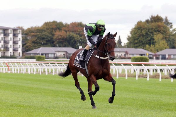 Phelan's duo on song for cup