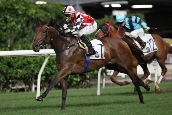 Joyful Hunter returns to scene of triumph