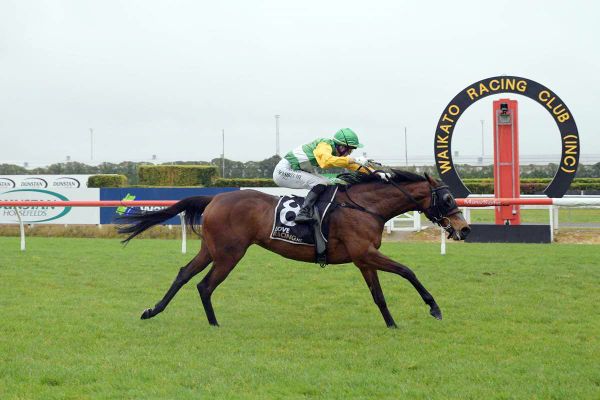 Stakes performers fresh off the racetrack in National Online Breeding Stock Sale