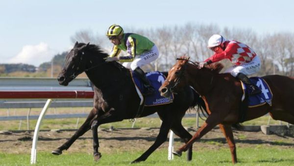 Leedox back in the winners circle