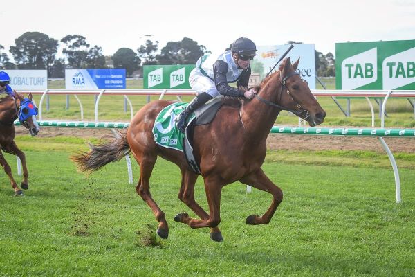 Impressive Almanzor debutant winner