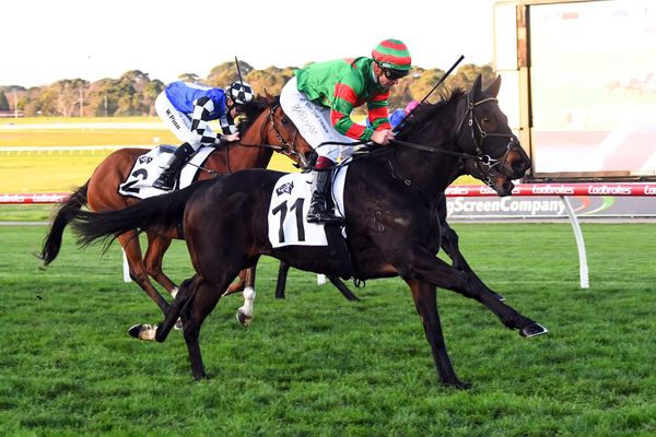 Sir Rockford to bounce back at Sandown