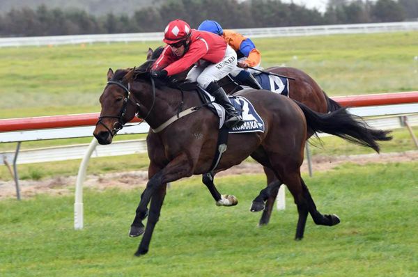 Bradley banks hometrack double