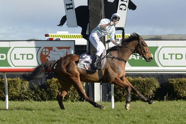 Jubilant Fannin wins local features