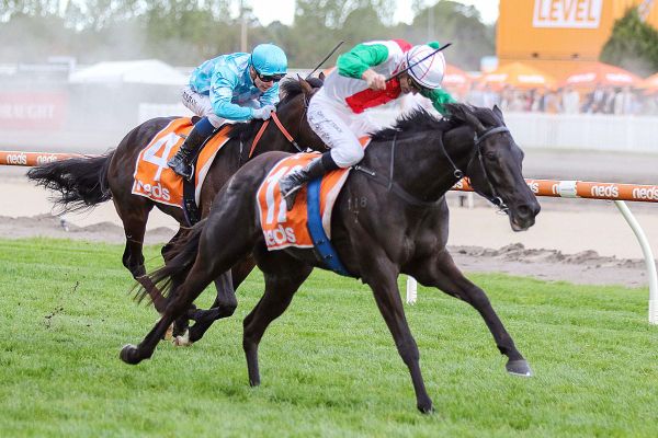 Aegon ready for Group One task