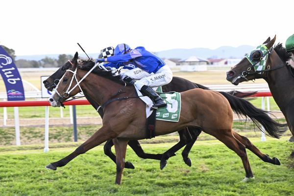 Bold win in Rowley Mile