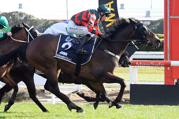 Dragon leaps his rivals to claim narrow victory in Foxbridge