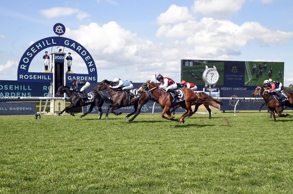 Rosehill breakthrough for Elettrica