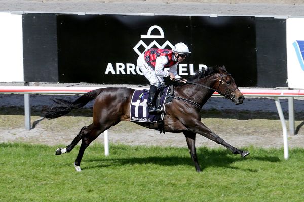 La Crique ready for season return