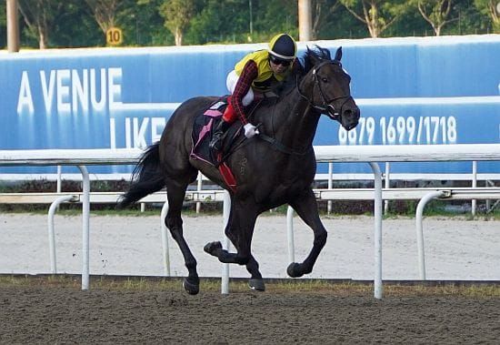 Major King aiming at bigger targets