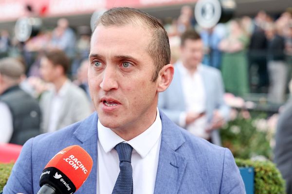 Wolfy out to stamp Guineas credentials