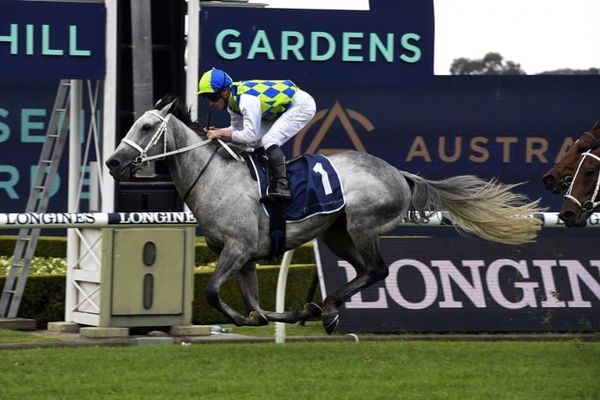 Polly Grey returning home