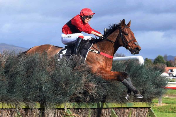 Nelson/McDougal team head to Rotorua