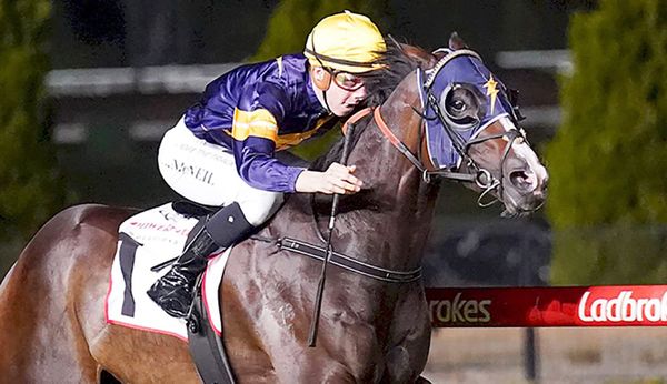 Snapper's Valley return