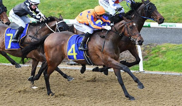 Stonybreck claims synthetic feature