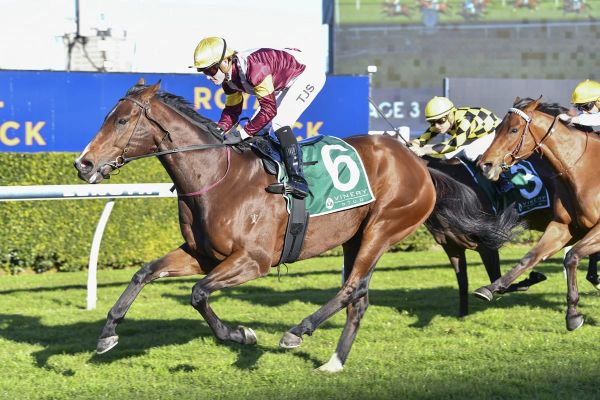 Strombus could earn chance at Dance