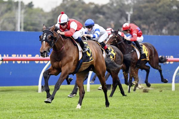 Verona roars back into winning form