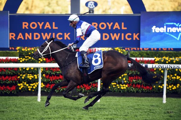 Go Racing’s Queen set to resume