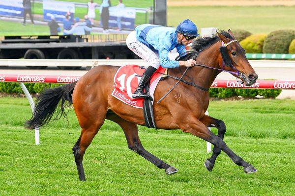 Basilinna on track despite setback