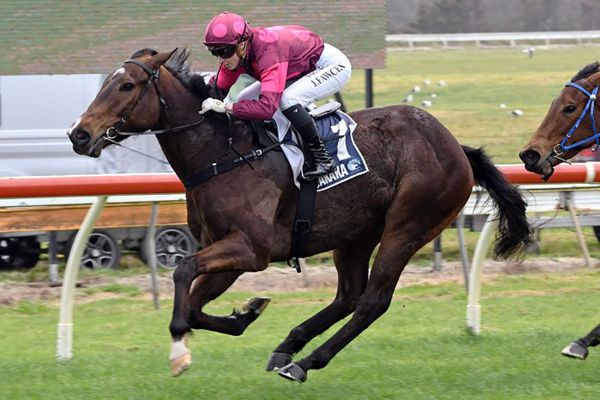 Youngsters to represent for Rae-Williams stable