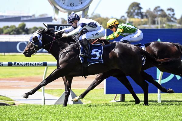 New owners get immediate return with Bunker Hut