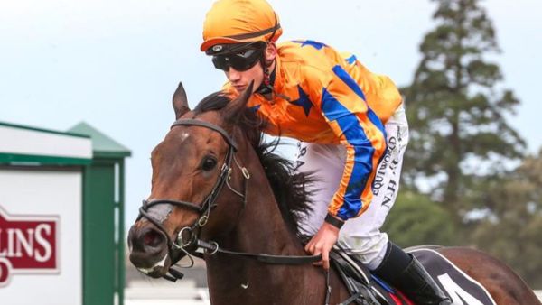 Challa enjoying spring racing