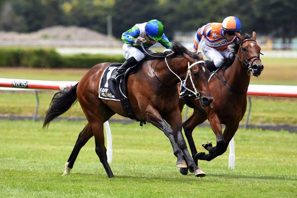 Rain a worry for Marsh duo