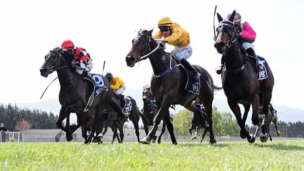 Danjuro has eyes on a million dollar prize