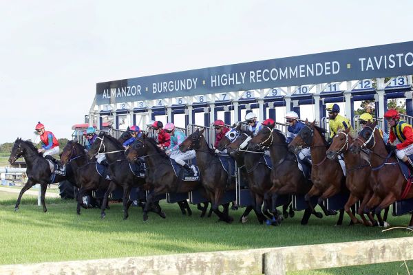 TAB Racing Club a new player in racehorse ownership
