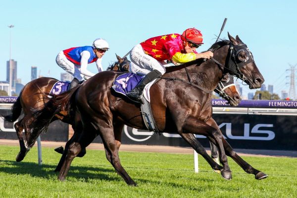 Gold Bullion wins Derby Preview