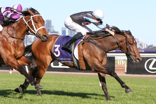 Oaks ‘tweener for Harlow Mist