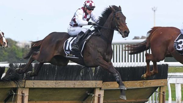 Memorable day at Te Rapa for Foote