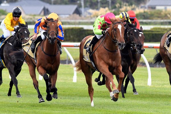 Pike trio primed for stakes tests