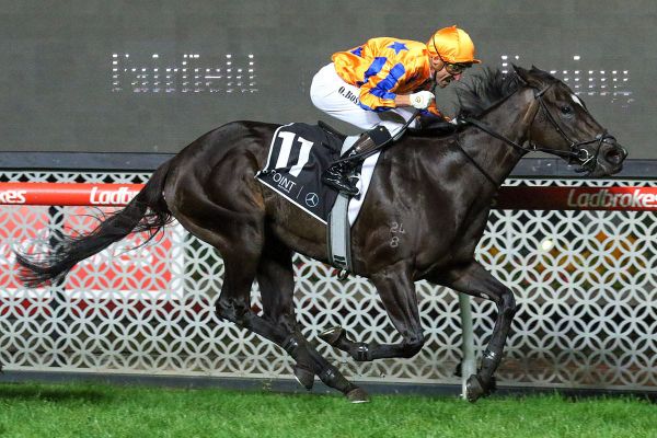 Opie takes ride on Imperatriz