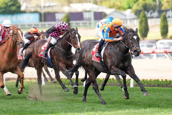 Imperatriz to return to the Valley