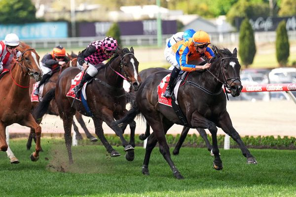 Imperatriz to stay in Melbourne