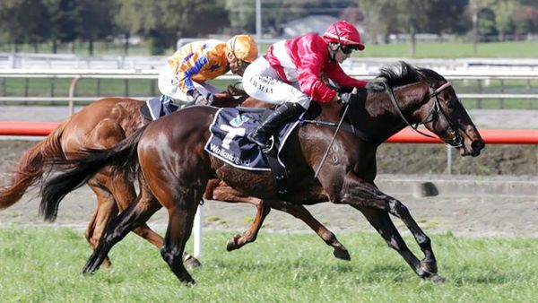 Cole looking forward to testing Oneira over further ground