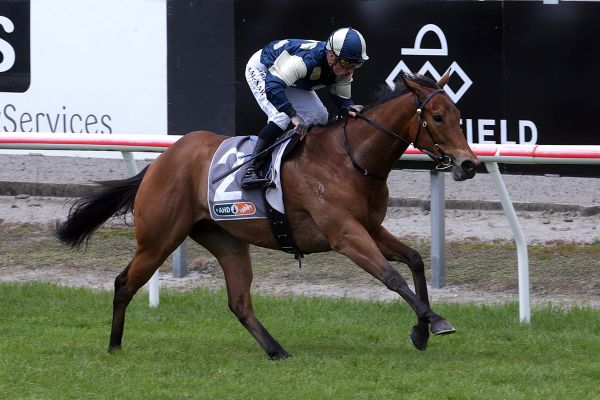 Gear change for Tarzino contender