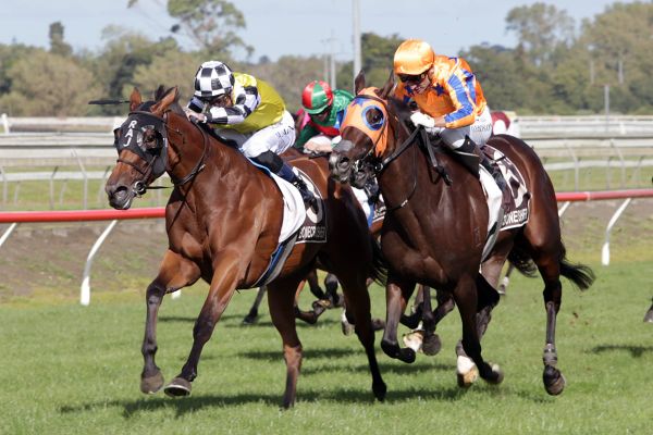 Prowess back in action