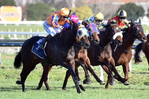 Quintessa continues winning run in Gold Trail