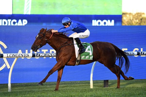 Straight-forward spring return from Red Card